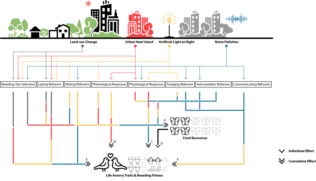 Integrating Urban Ecology and Planning Practice